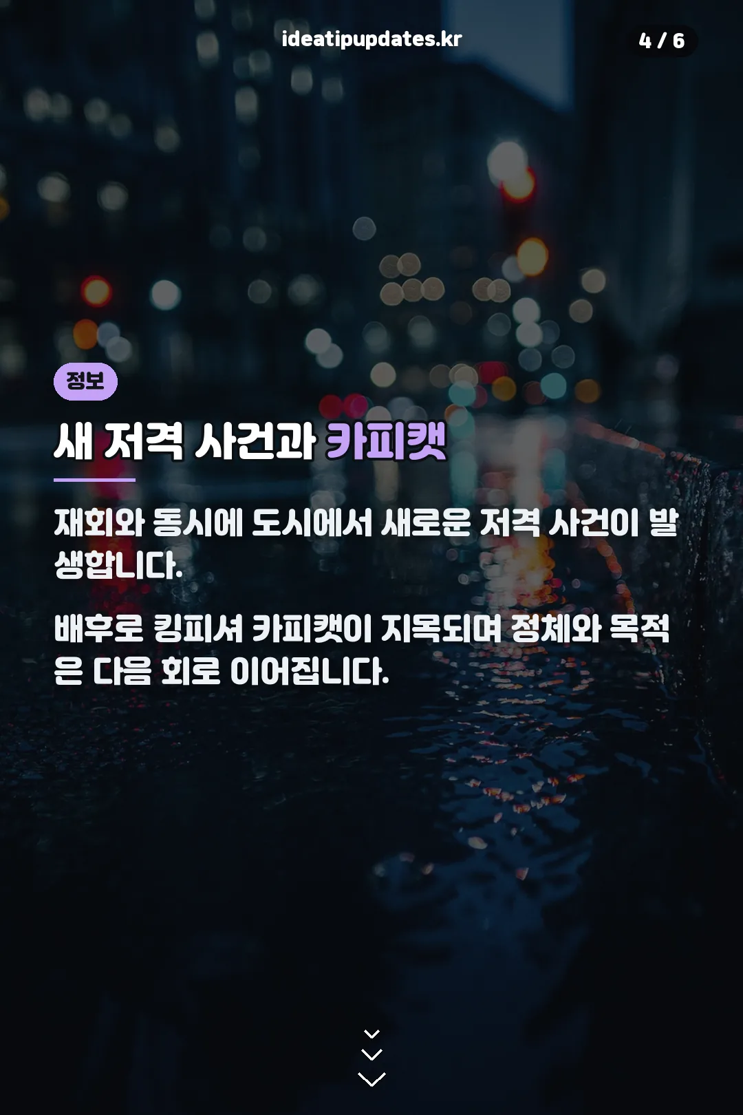 새 저격 사건과 카피캣