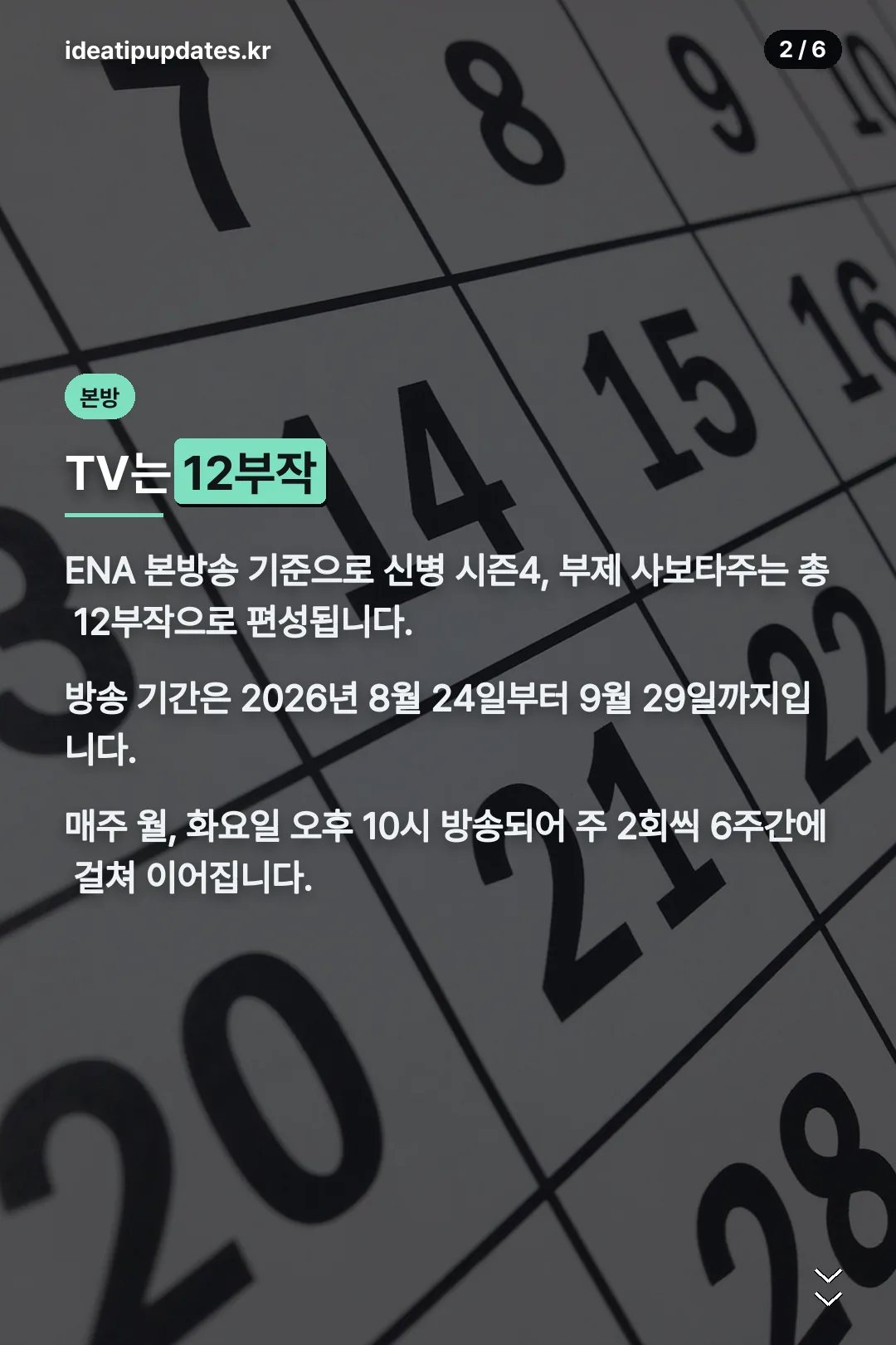 TV 12부작 편성