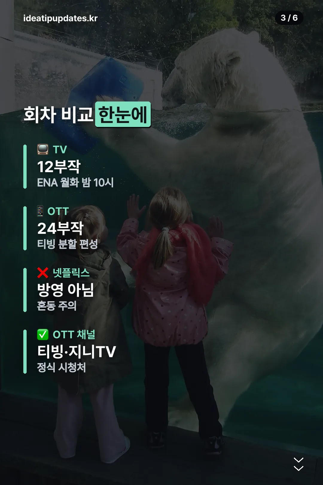 회차 비교 한눈에
