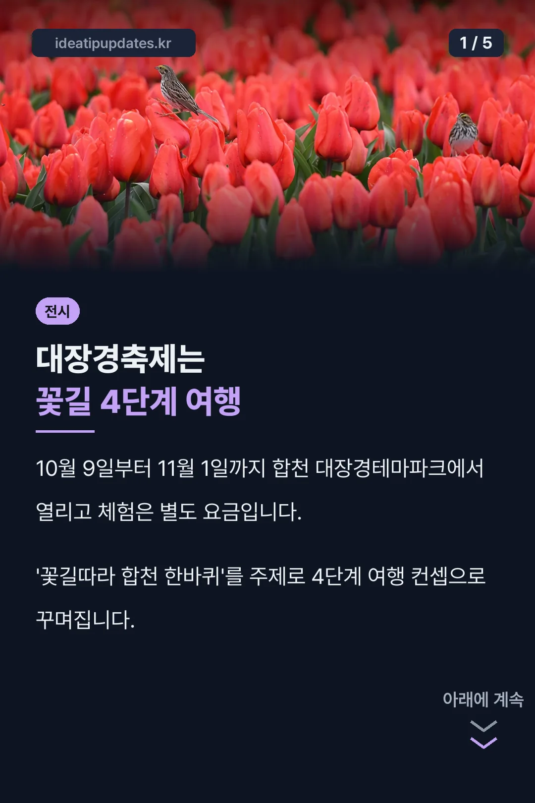 대장경기록문화축제 핵심 정리