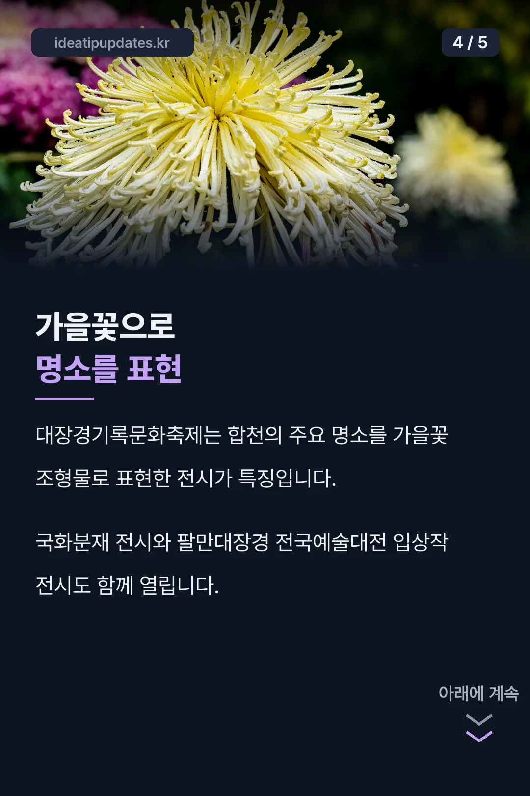 가을꽃 조형물 전시 소개