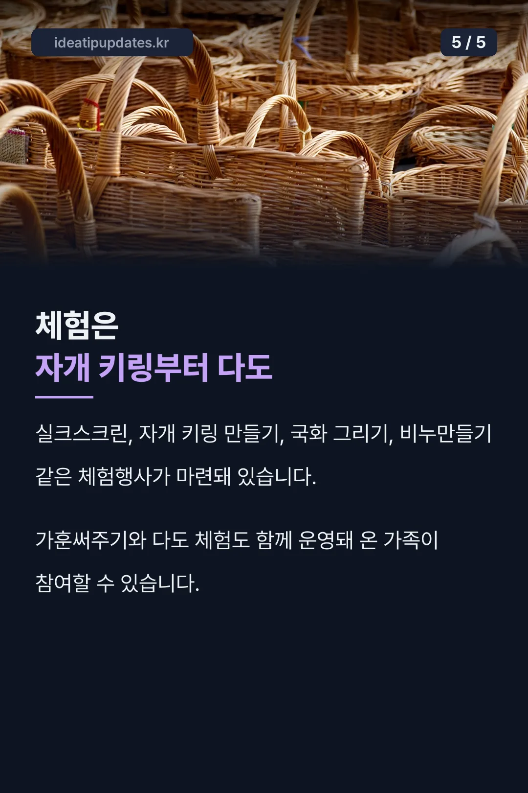 체험 프로그램 안내