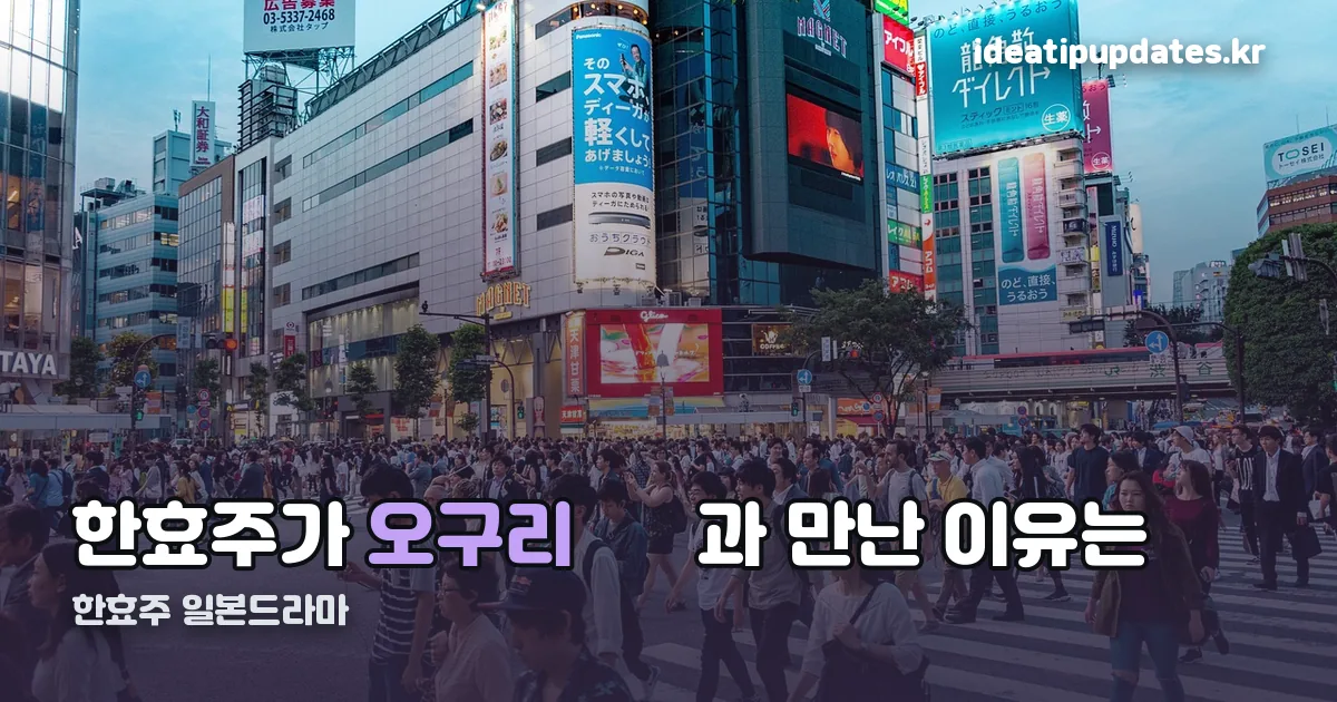 한효주 일본드라마 정리 썸네일