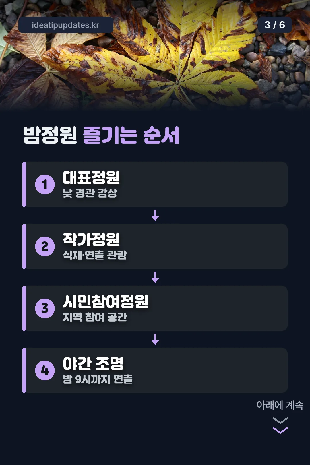 밤정원 즐기는 순서